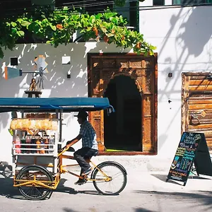 Hotel The Village Boutique, Playa del Carmen
